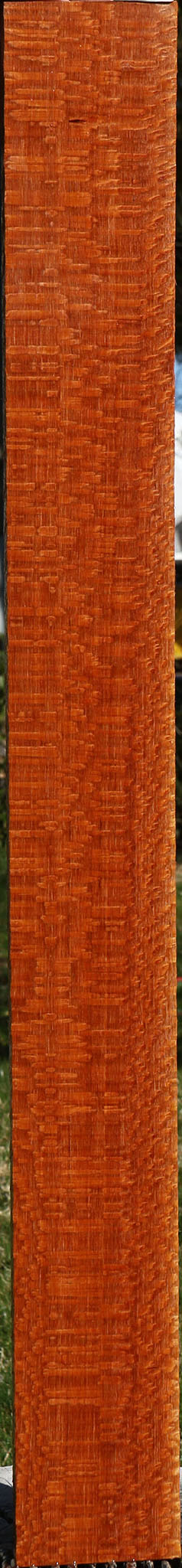 Extra Fancy Quartersawn Leopardwood Lumber