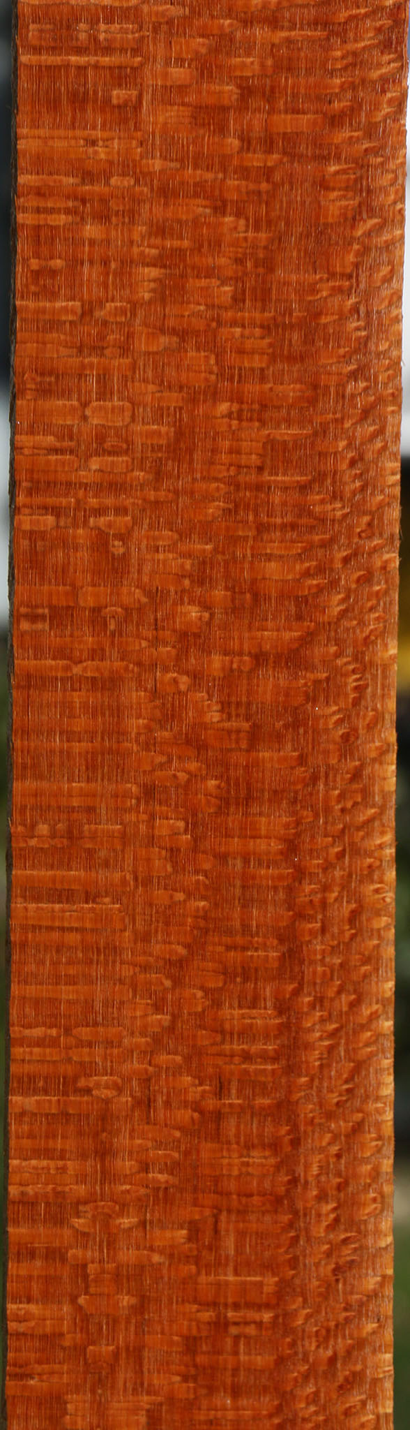 Extra Fancy Quartersawn Leopardwood Lumber