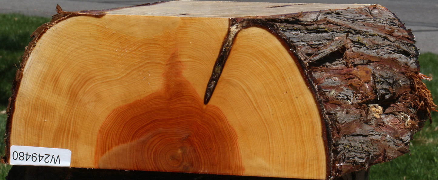 Juniper Half Log