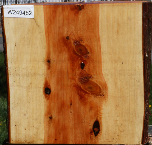 Juniper Half Log