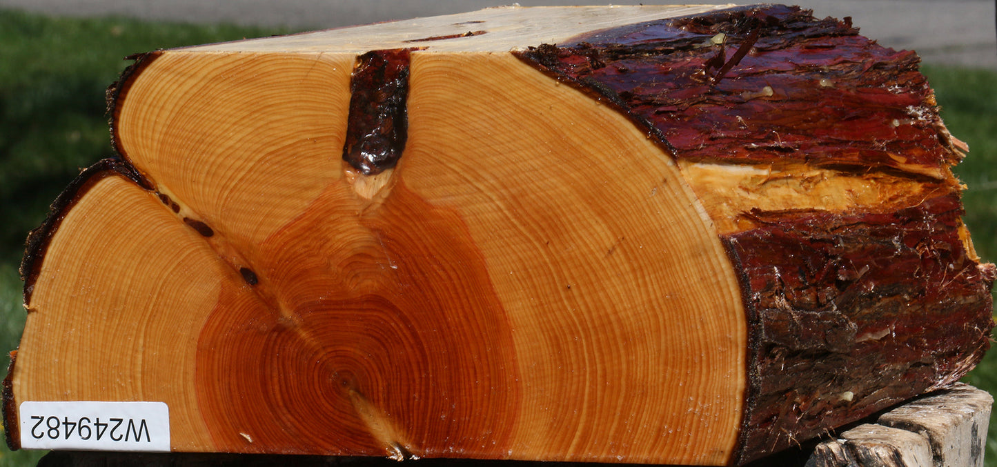 Juniper Half Log