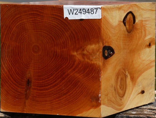 Juniper Bowl Blank