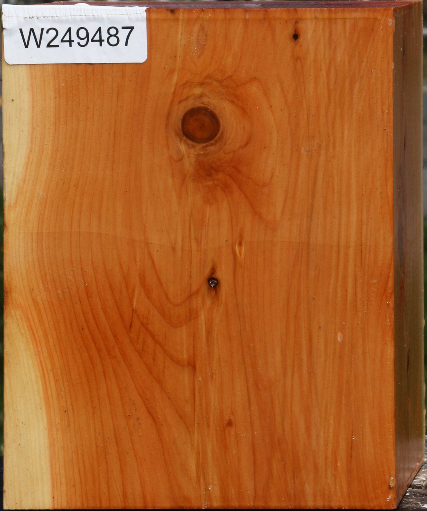 Juniper Bowl Blank