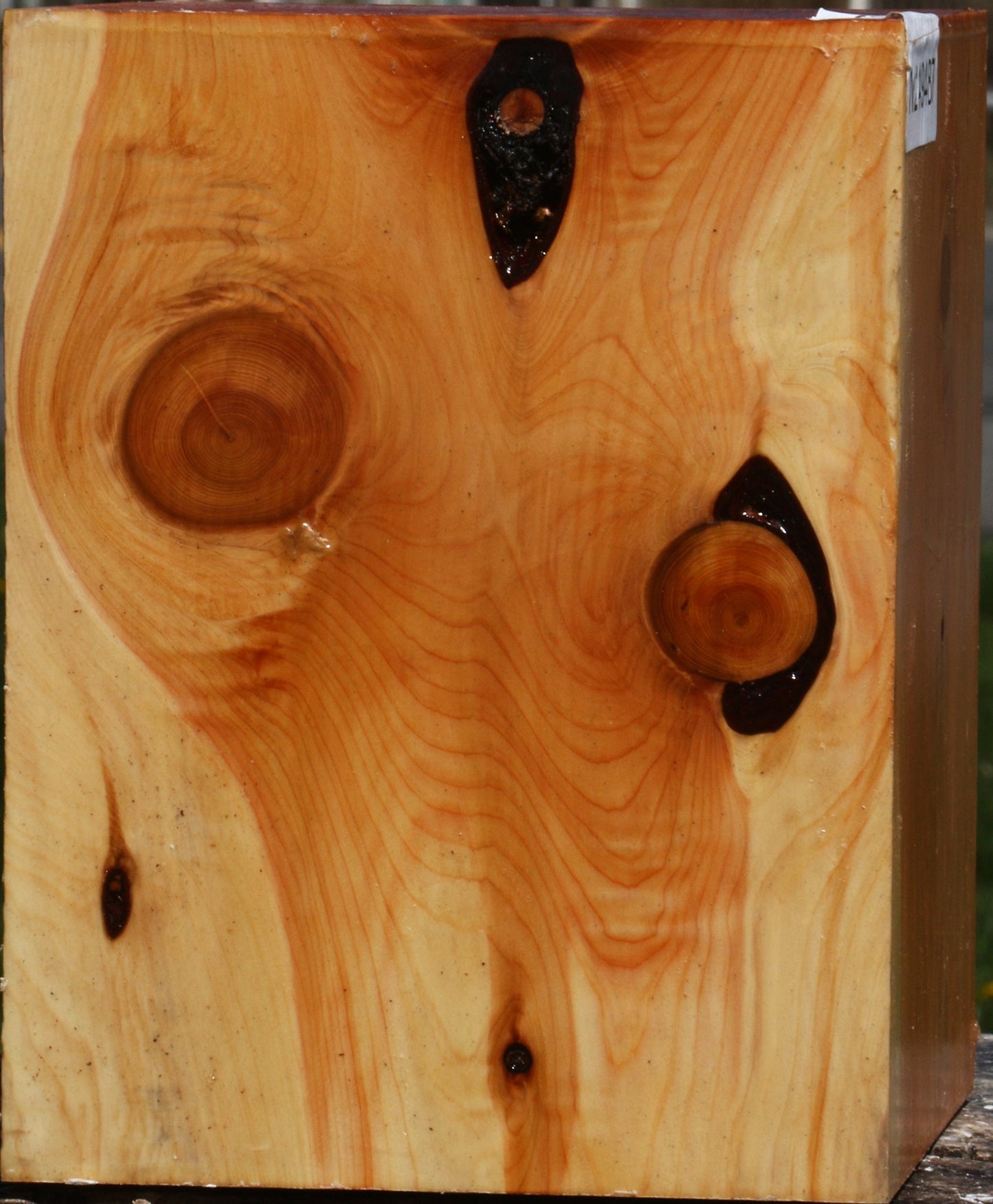 Juniper Bowl Blank