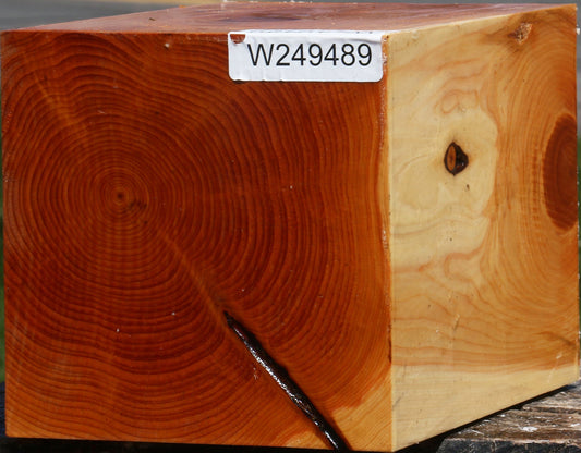 Juniper Vessel Blank