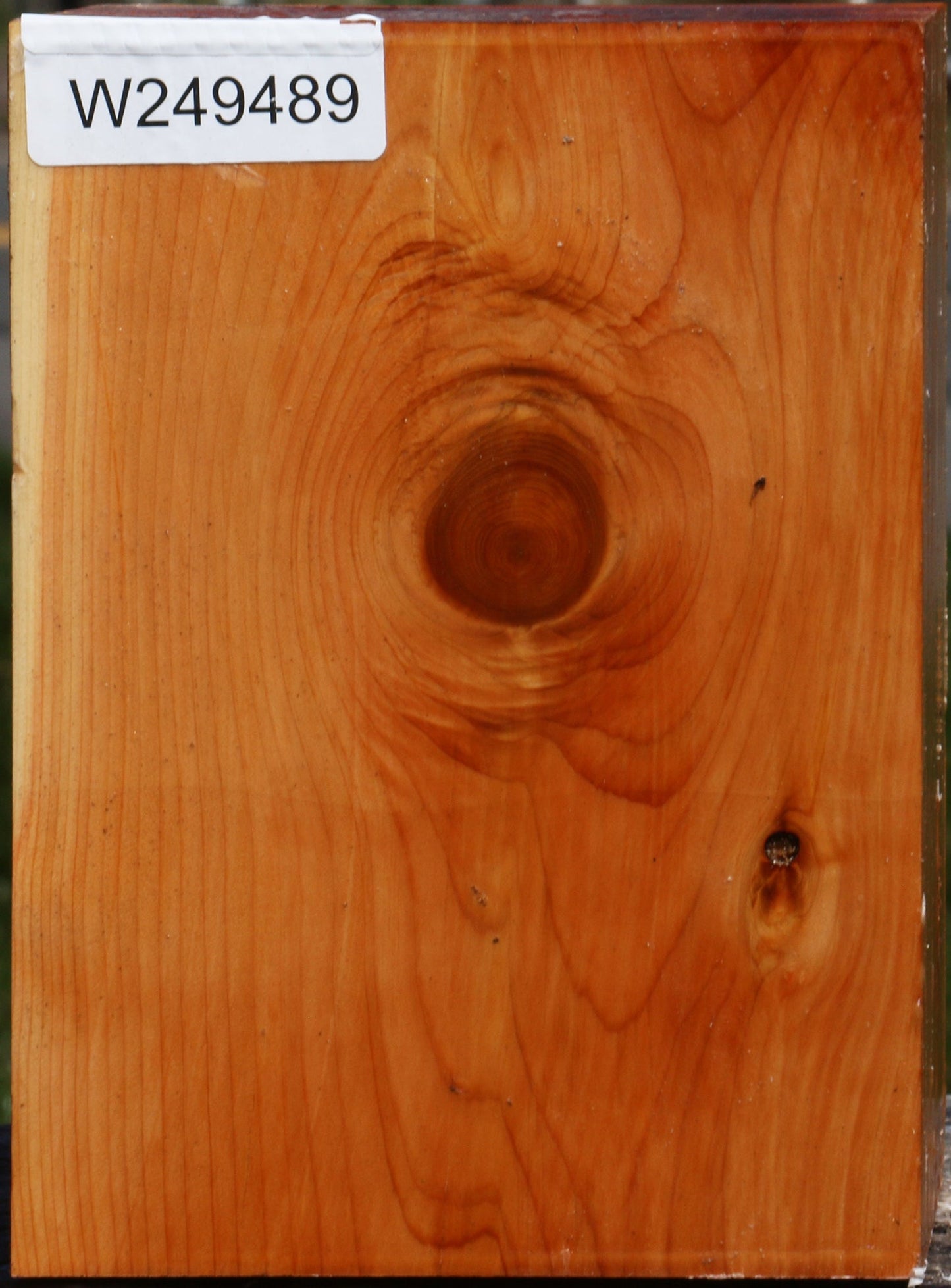 Juniper Vessel Blank