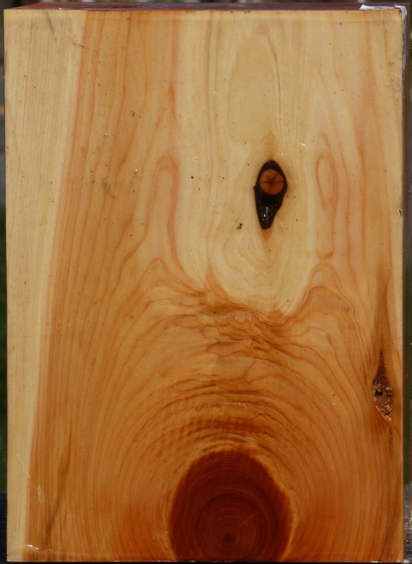 Juniper Vessel Blank