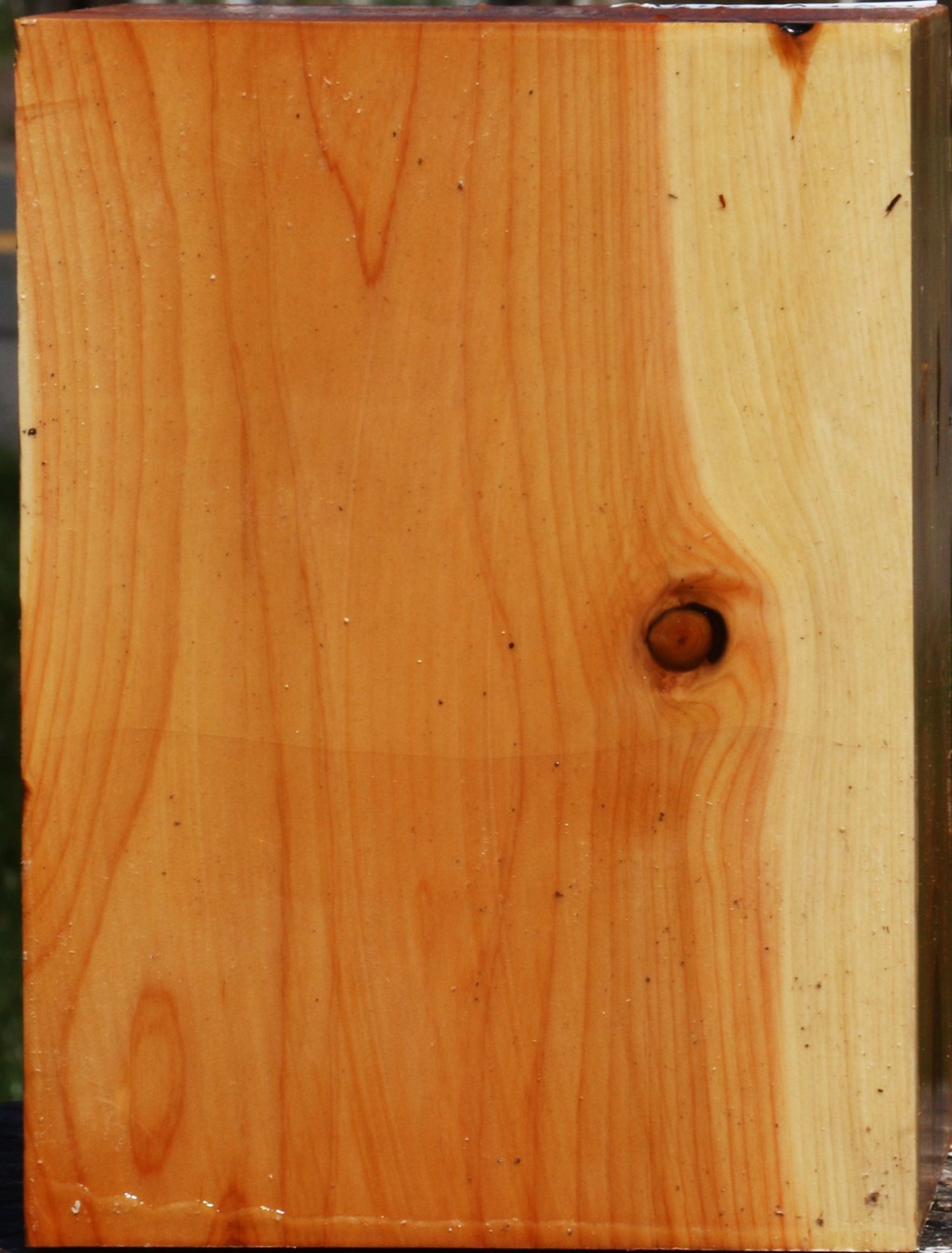 Juniper Vessel Blank