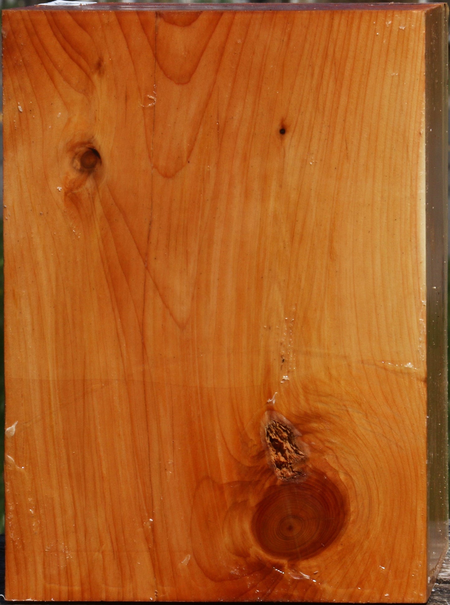 Juniper Vessel Blank