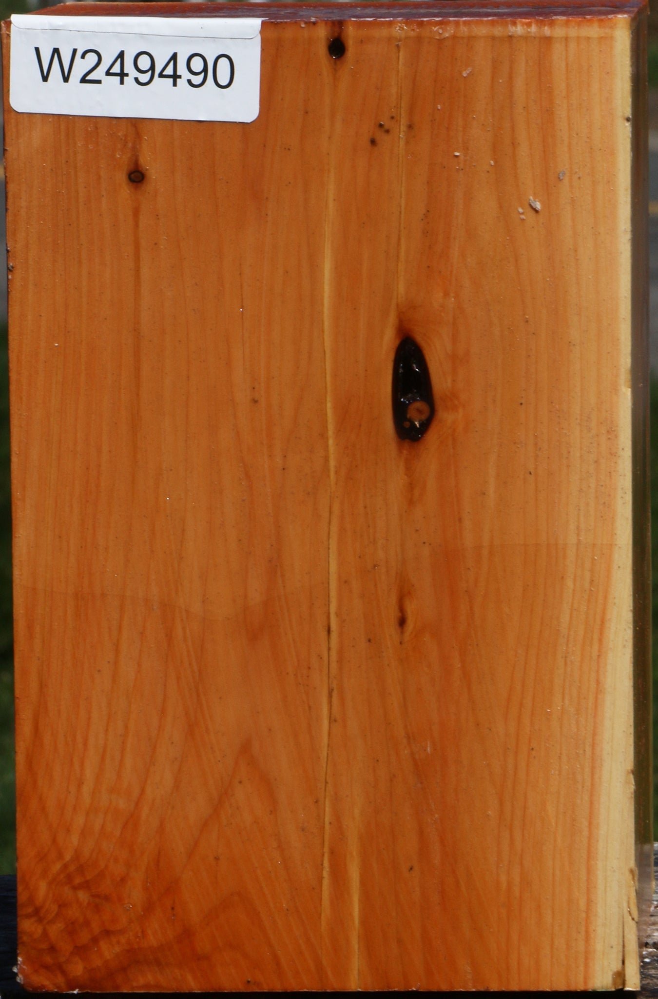 Juniper Vessel Blank