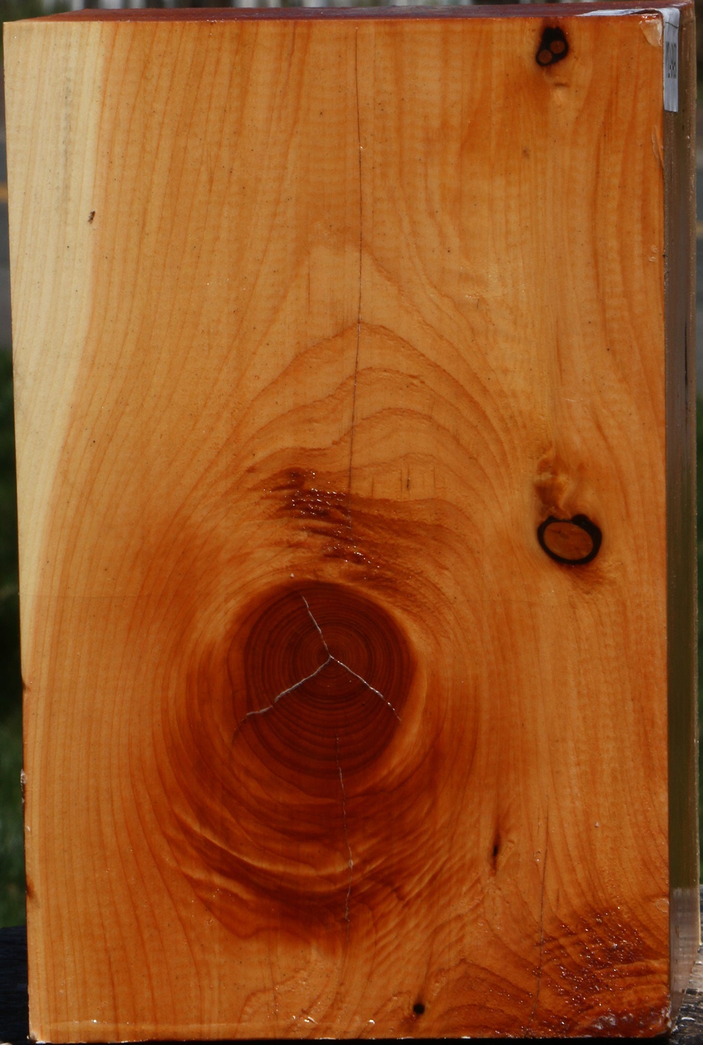 Juniper Vessel Blank