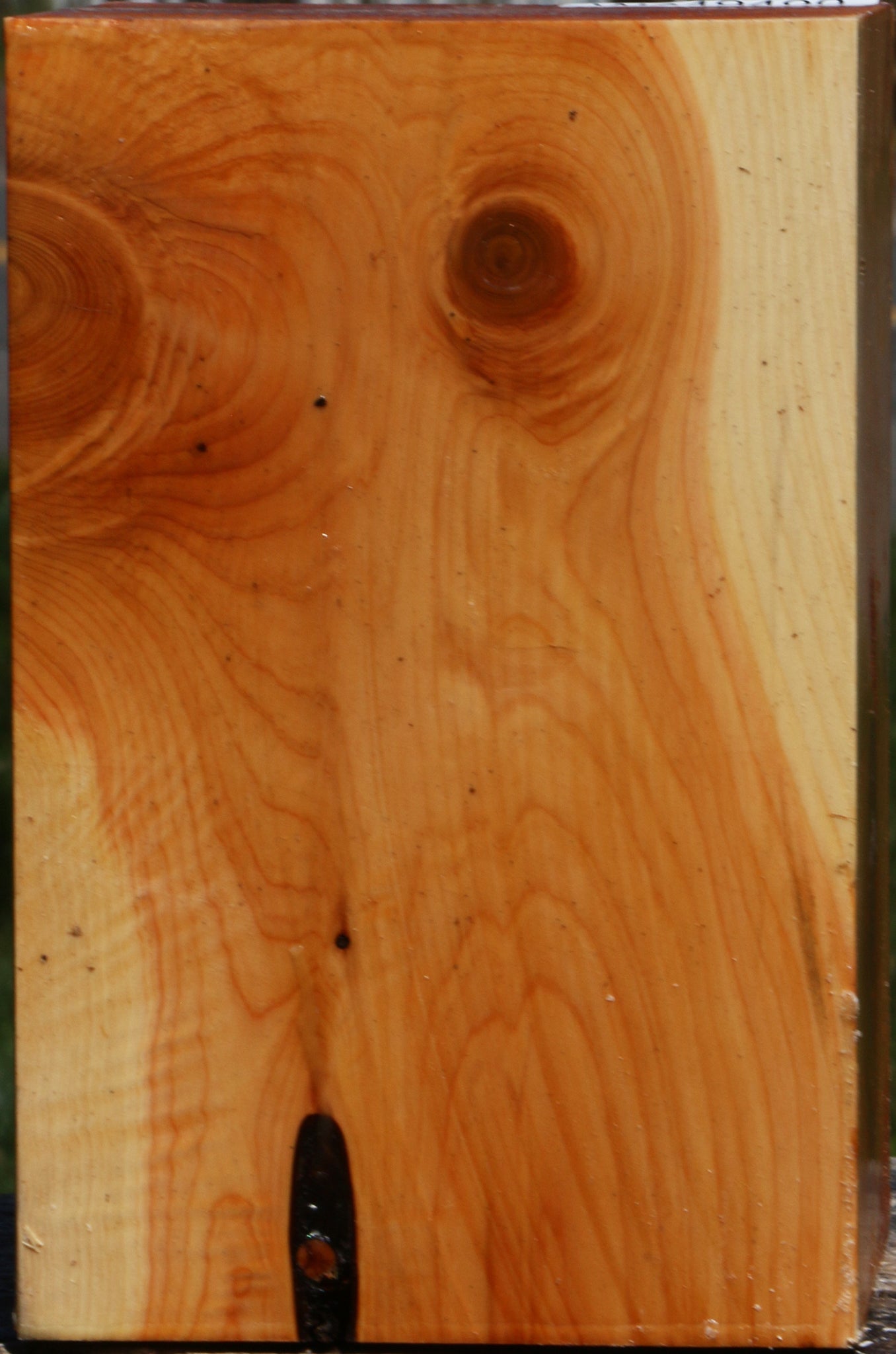 Juniper Vessel Blank