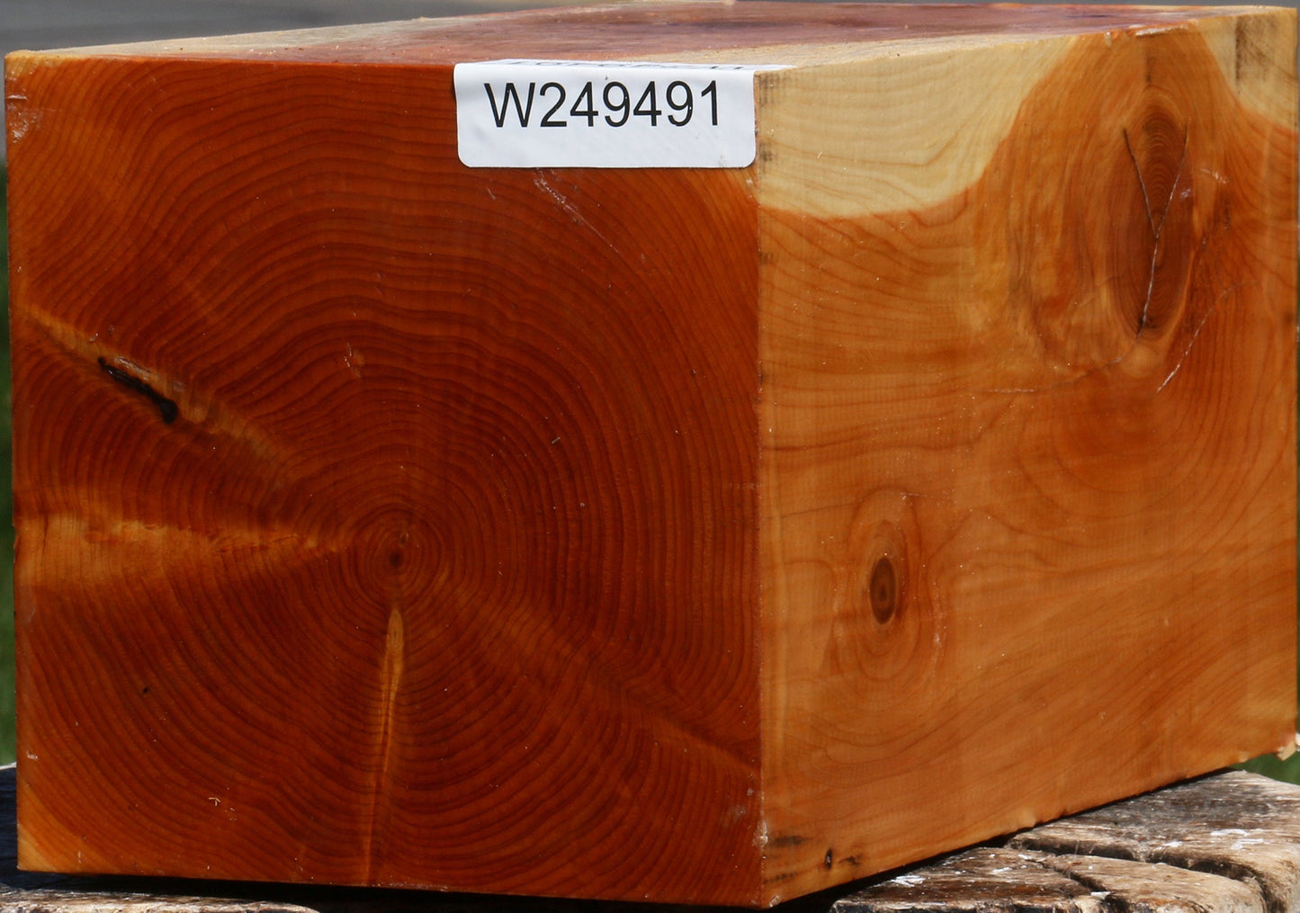 Juniper Vessel Blank