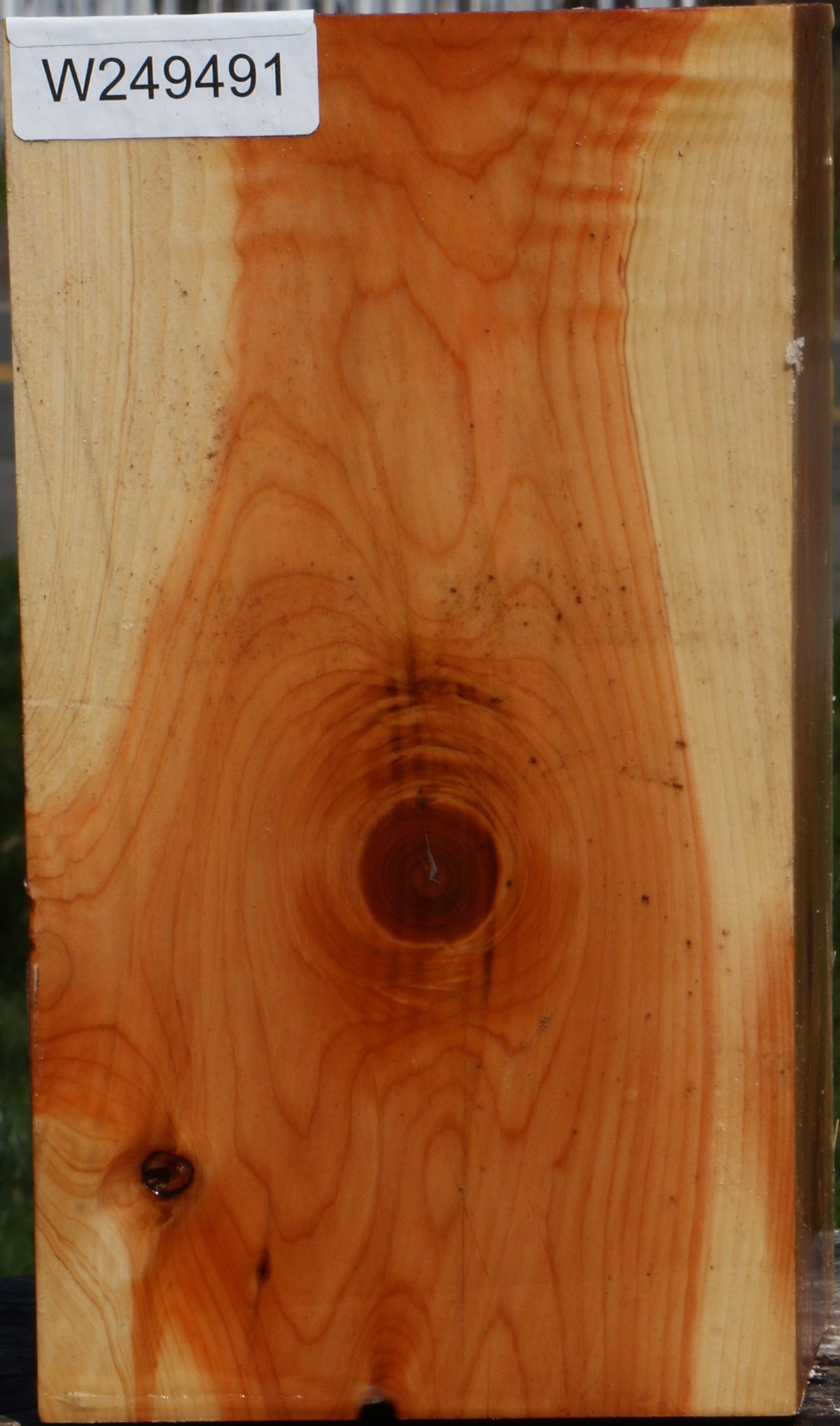Juniper Vessel Blank