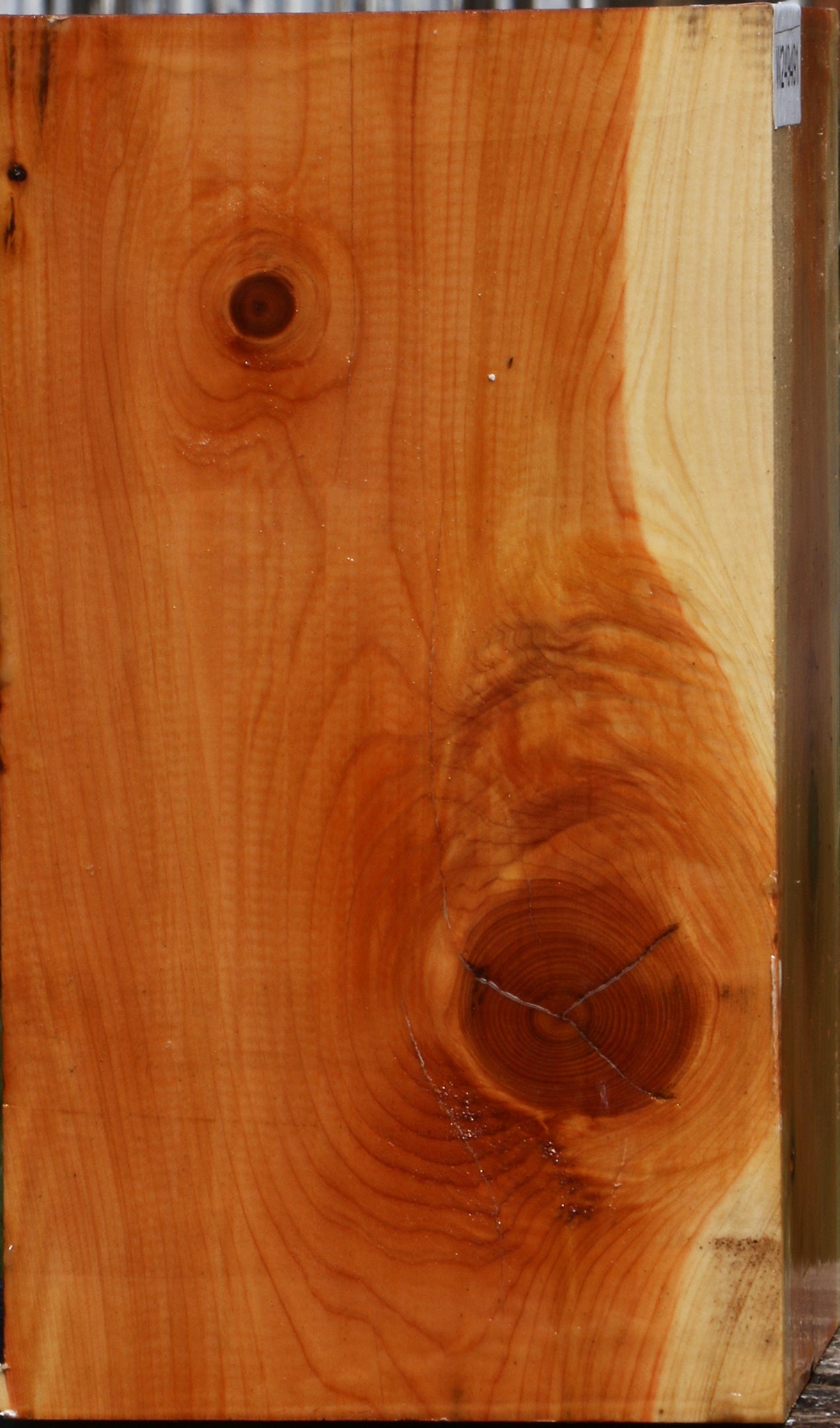 Juniper Vessel Blank