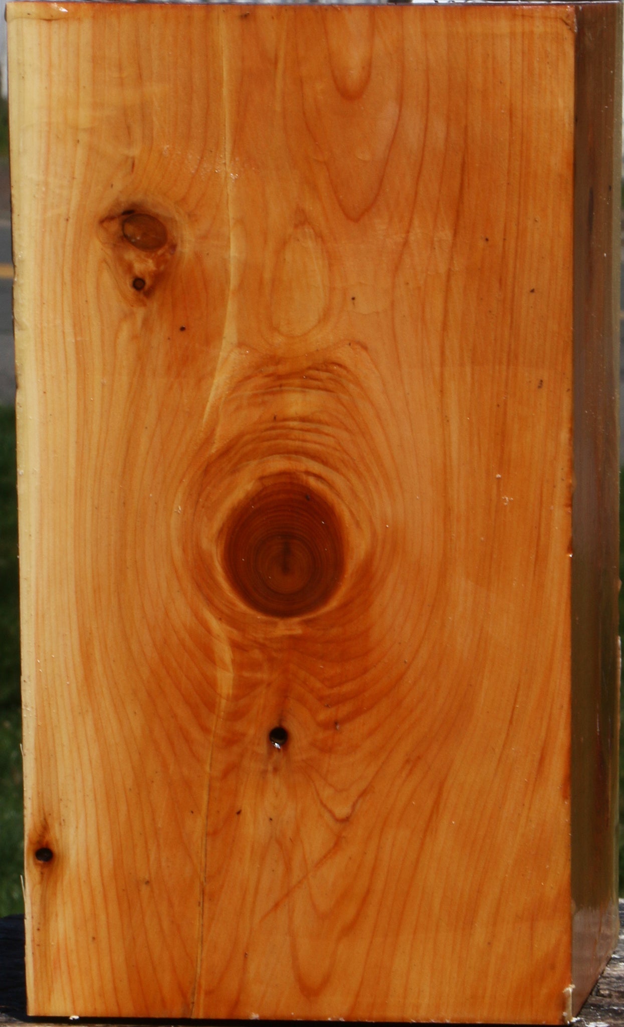 Juniper Vessel Blank