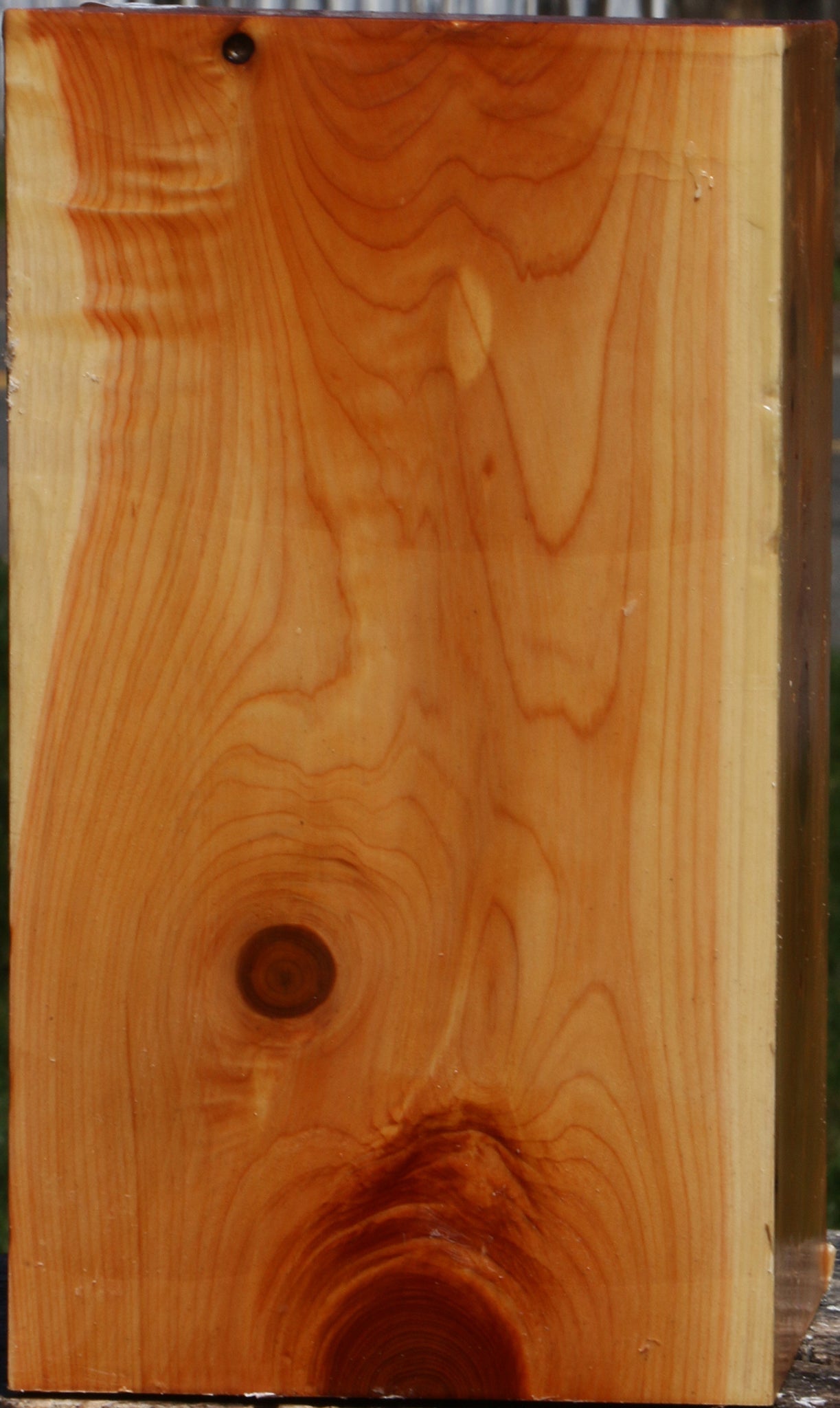 Juniper Vessel Blank