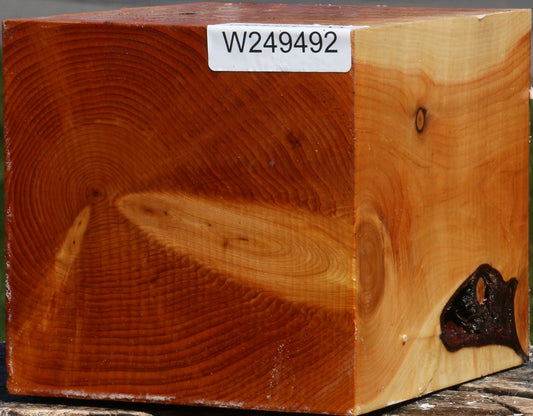 Juniper Turning Square