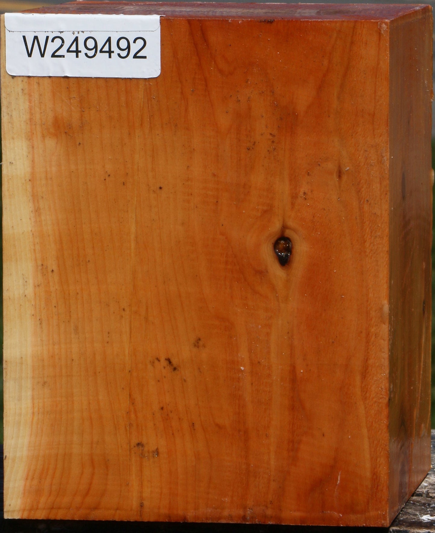 Juniper Turning Square