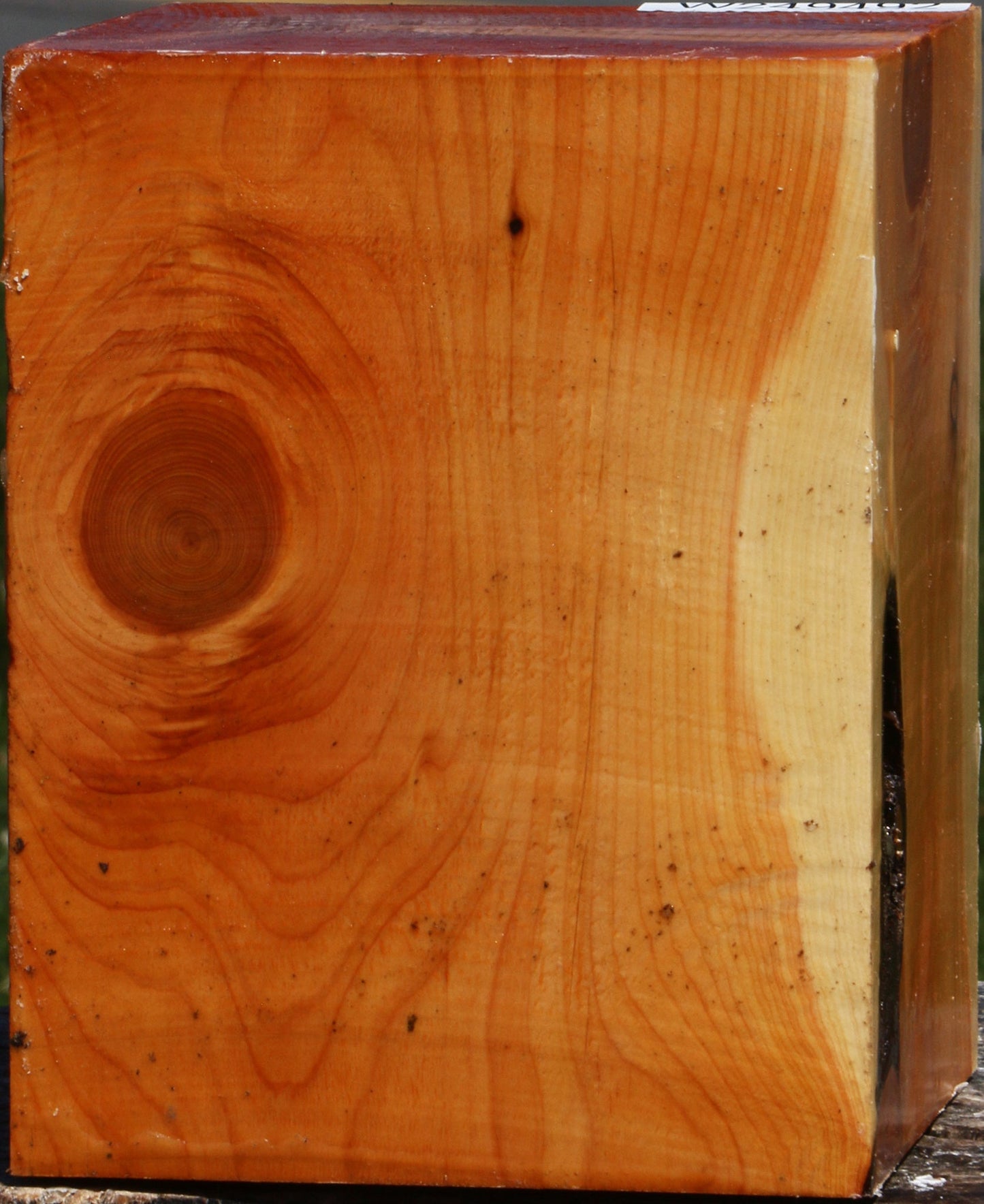 Juniper Turning Square