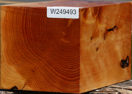 Juniper Vessel Blank