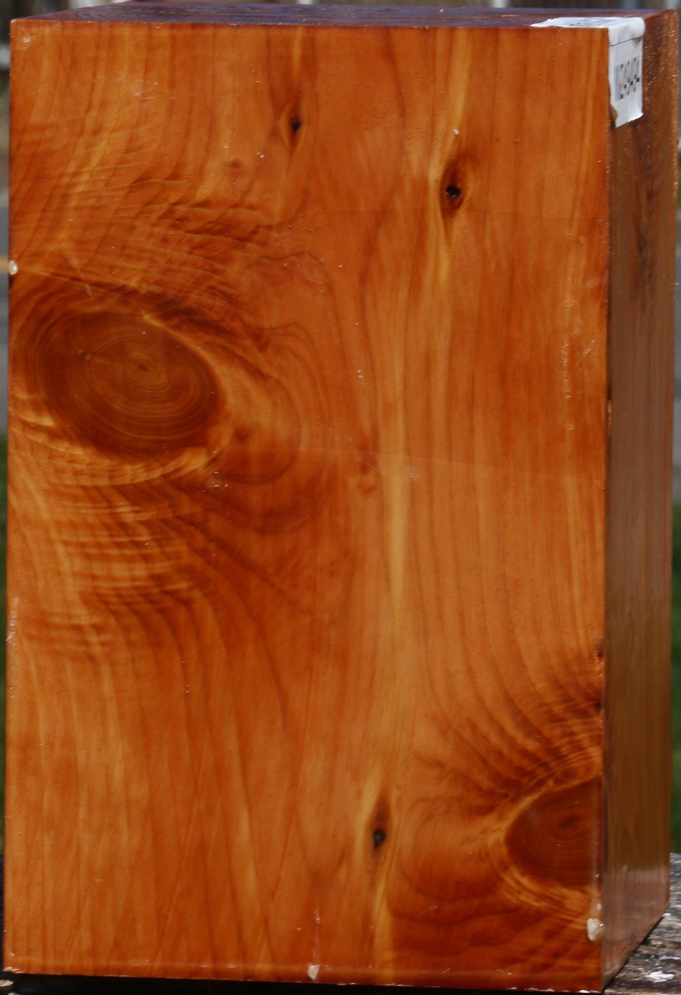 Juniper Vessel Blank