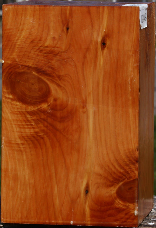 Juniper Vessel Blank