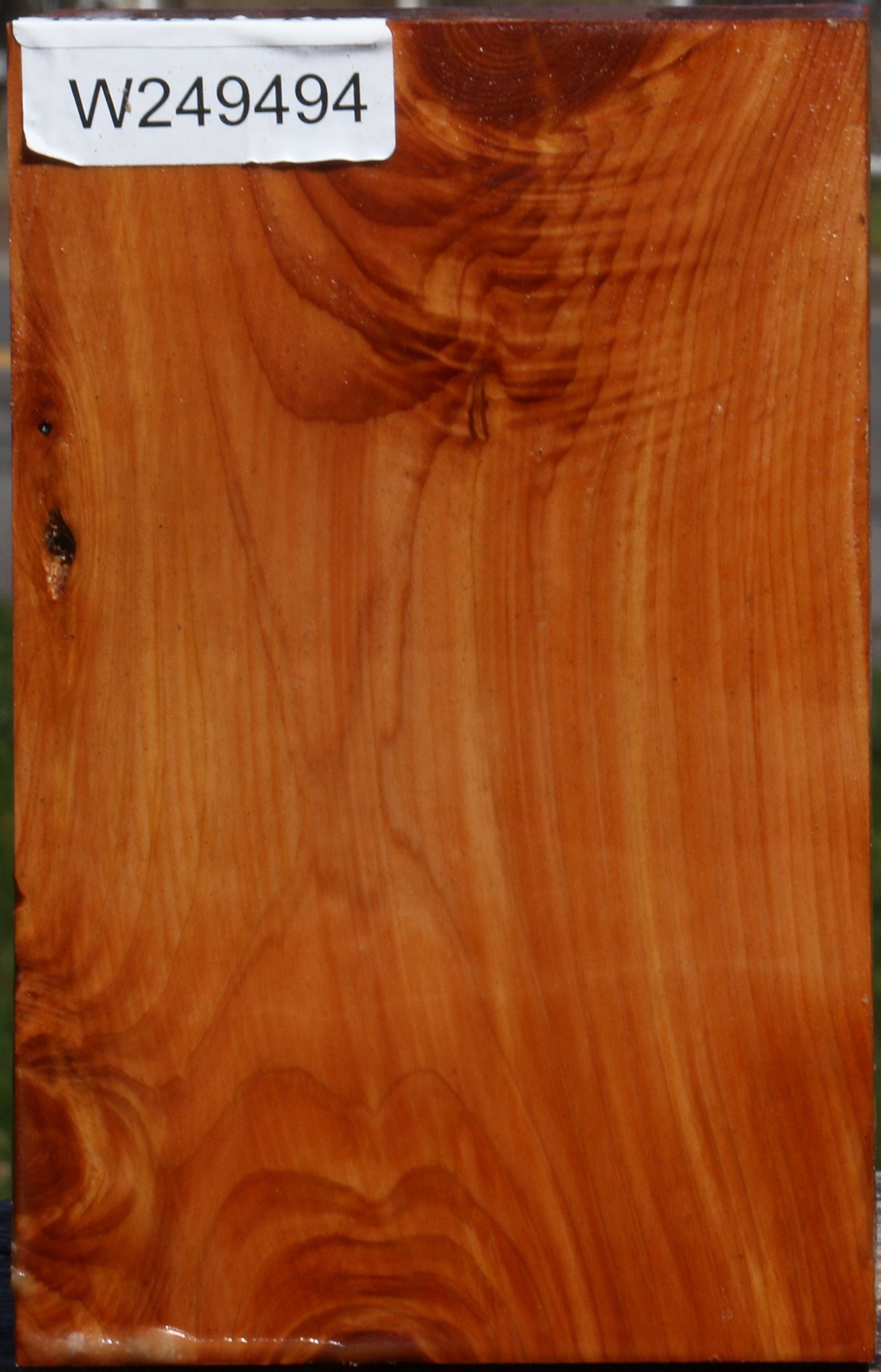 Juniper Vessel Blank