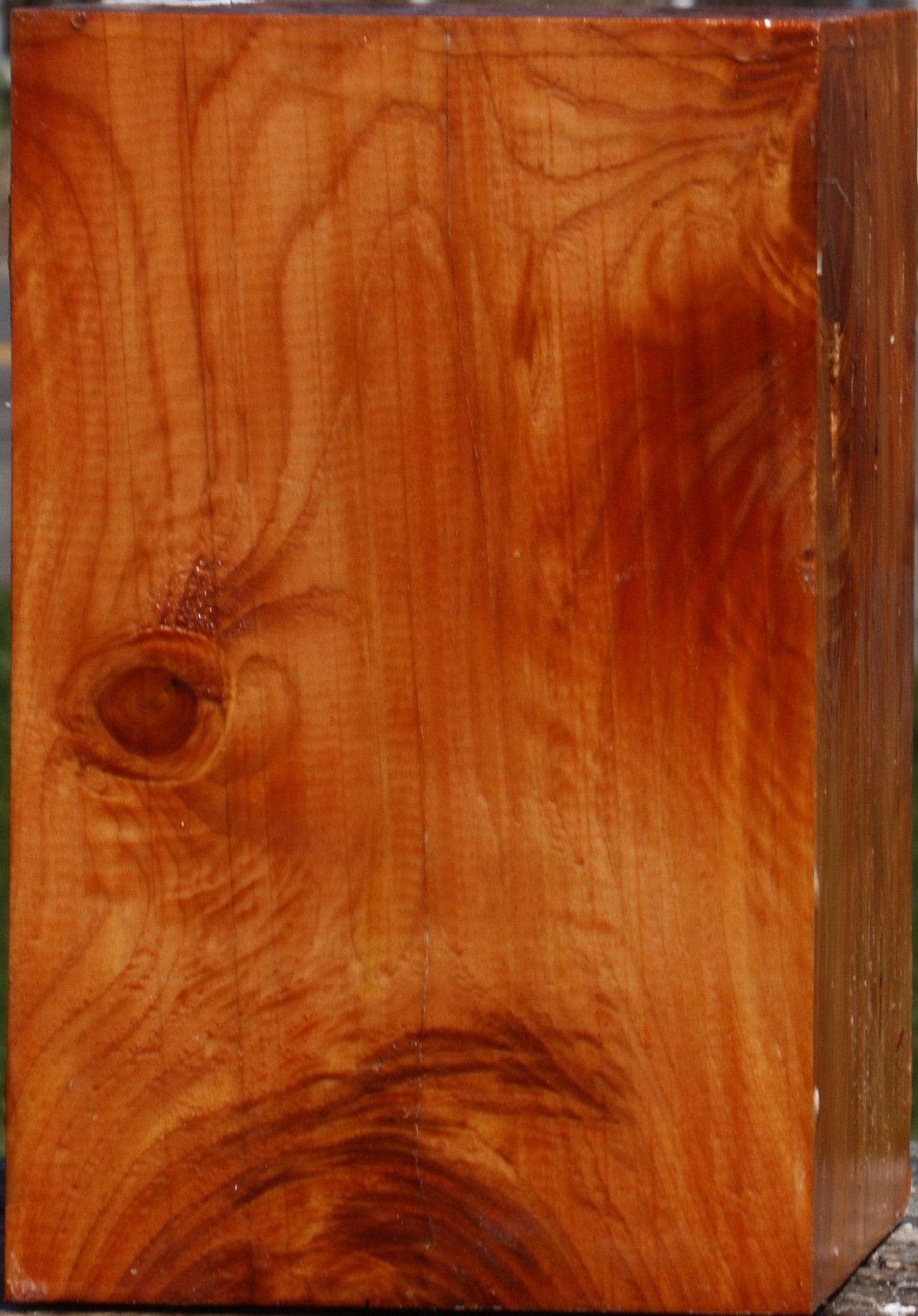 Juniper Vessel Blank
