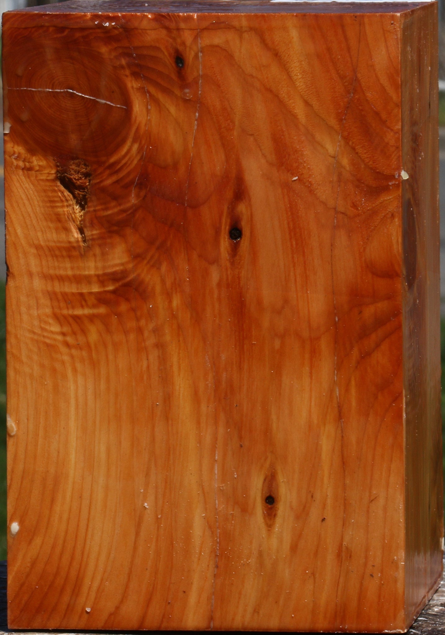 Juniper Vessel Blank
