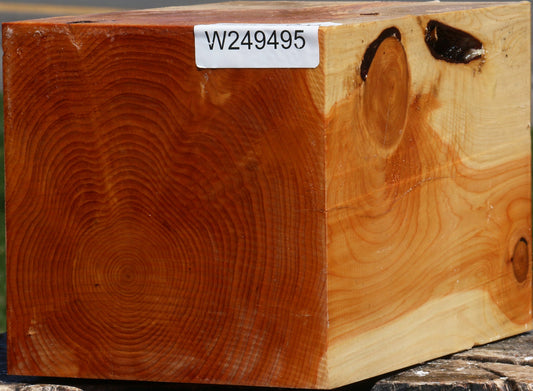 Juniper Vessel Blank