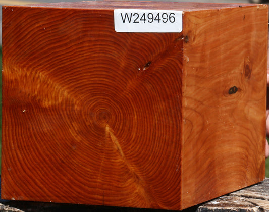 Juniper Vessel Blank