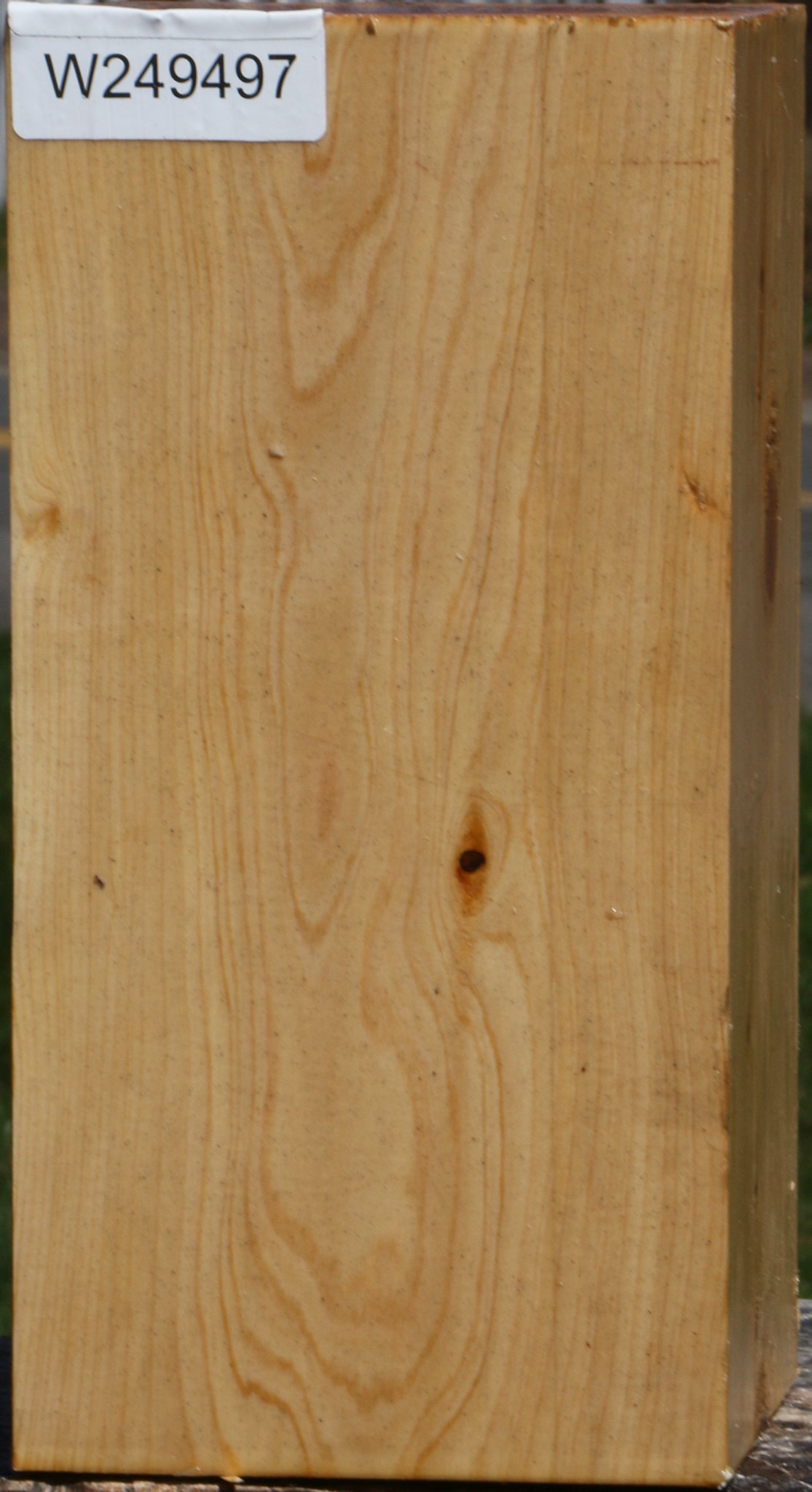 Juniper Vessel Blank
