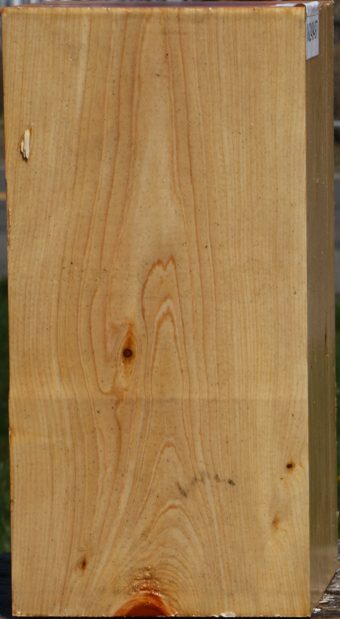 Juniper Vessel Blank