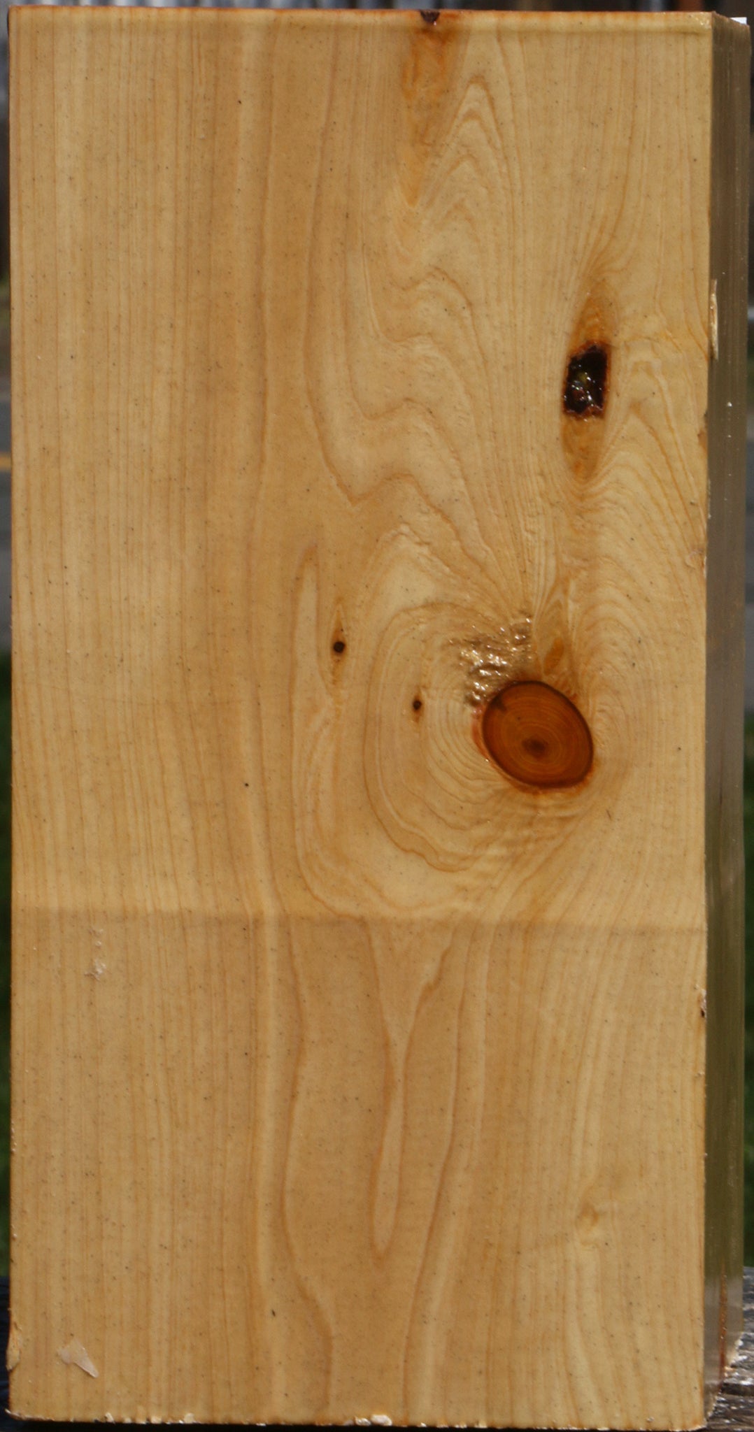 Juniper Vessel Blank
