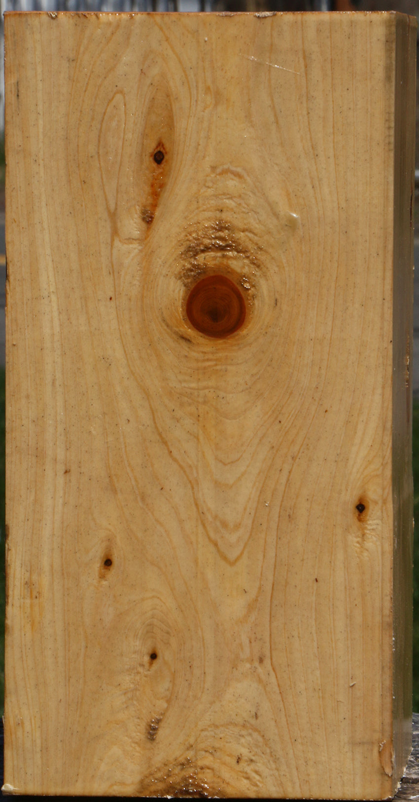 Juniper Vessel Blank