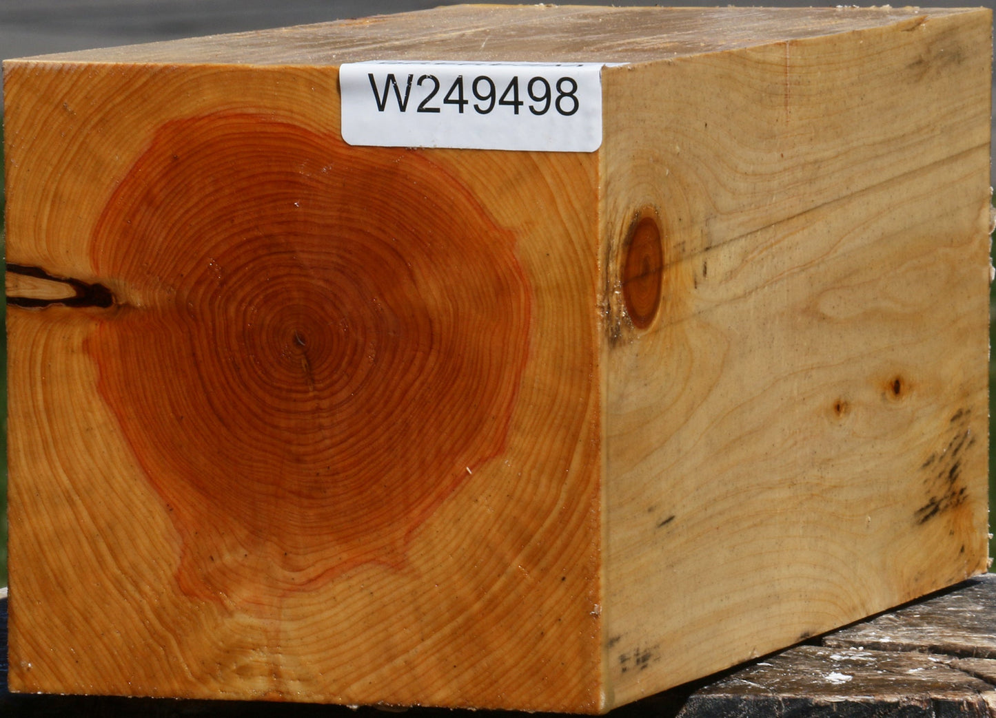 Juniper Vessel Blank