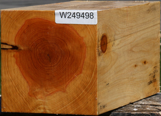 Juniper Vessel Blank