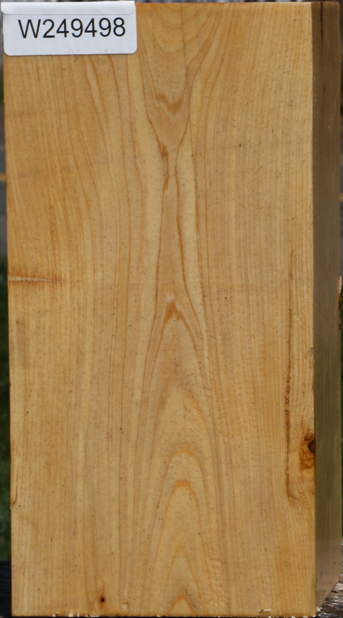 Juniper Vessel Blank