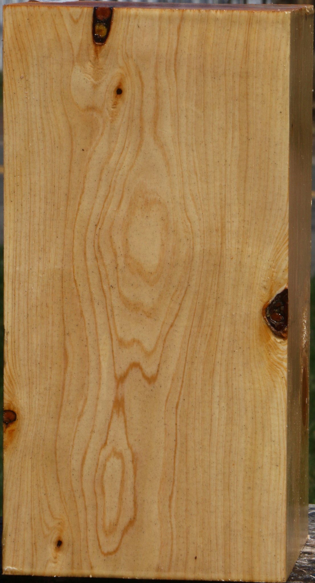 Juniper Vessel Blank