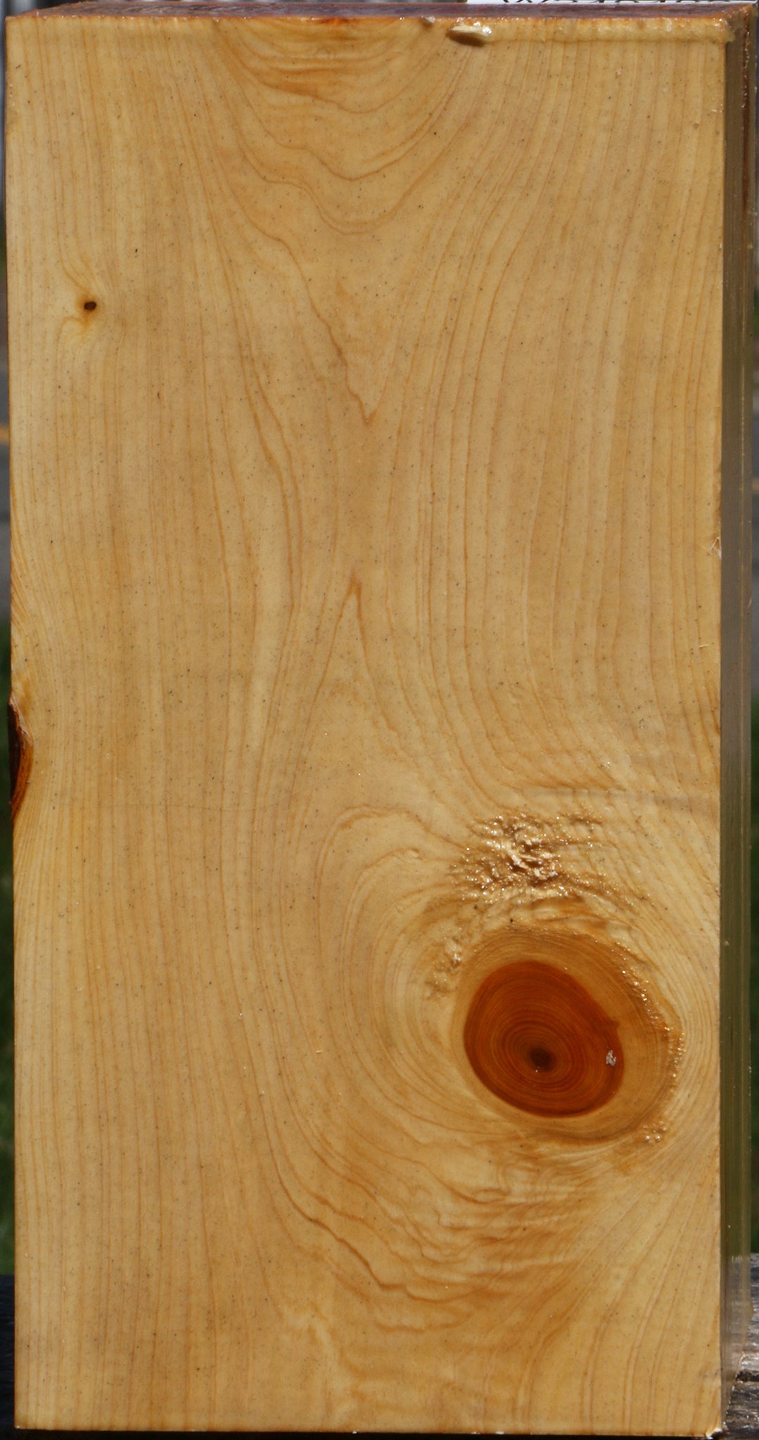 Juniper Vessel Blank