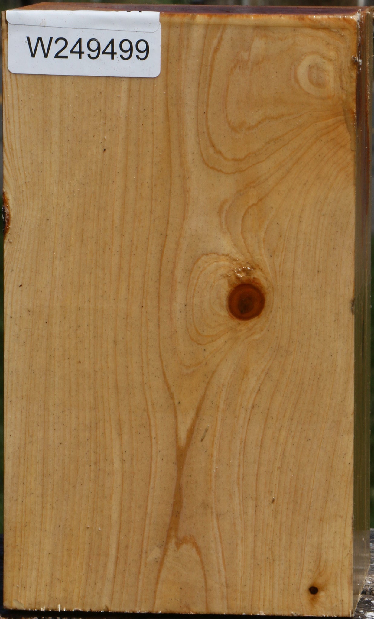 Juniper Vessel Blank