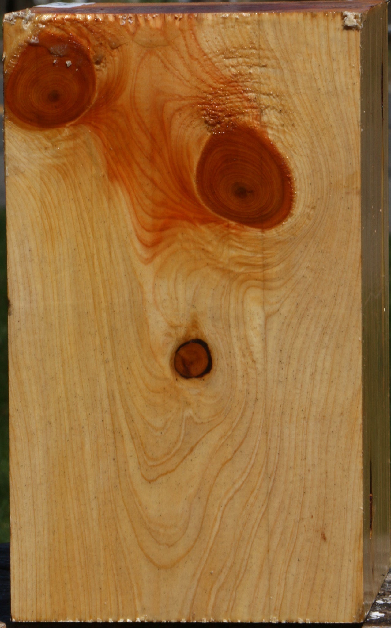 Juniper Vessel Blank