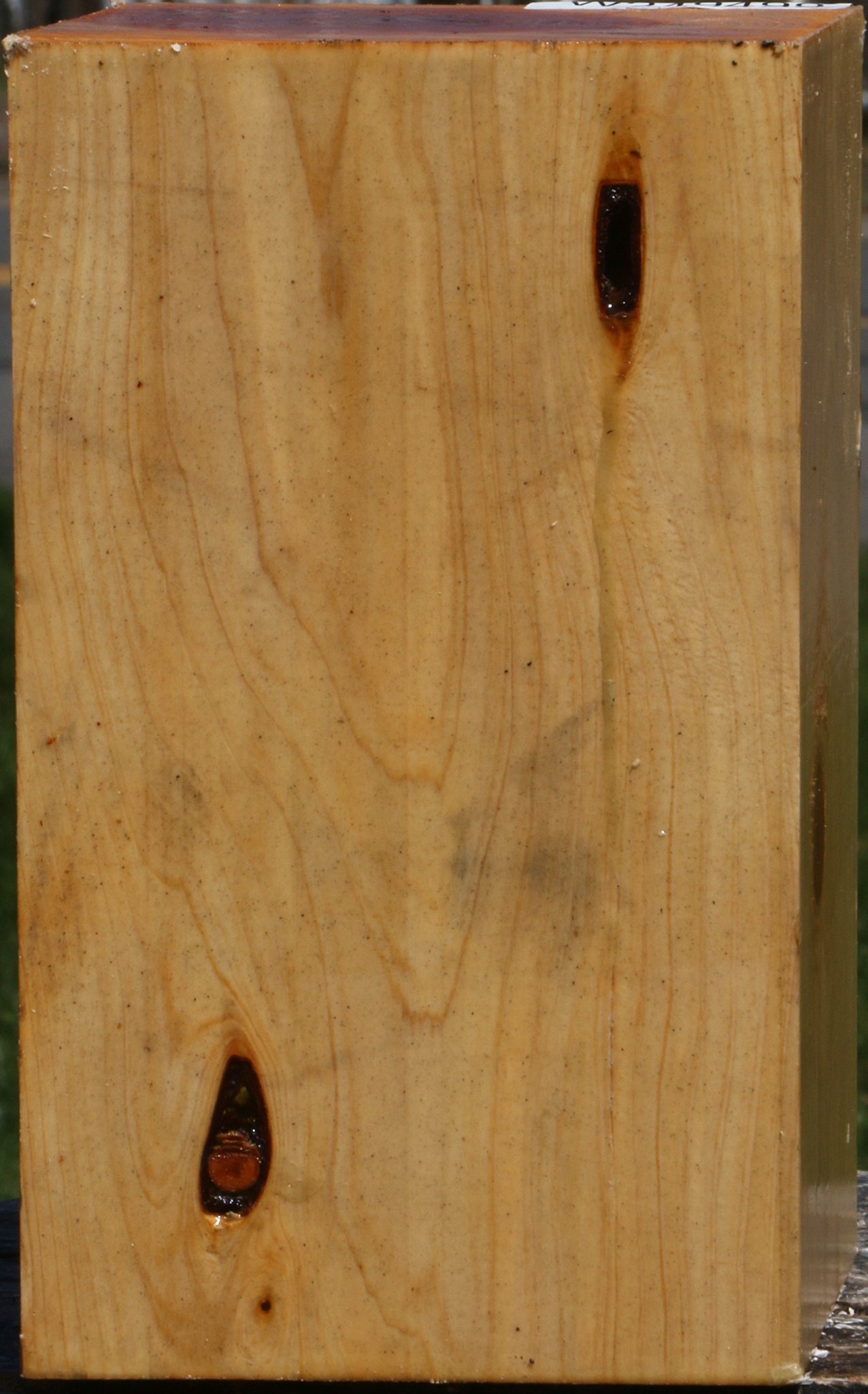 Juniper Vessel Blank