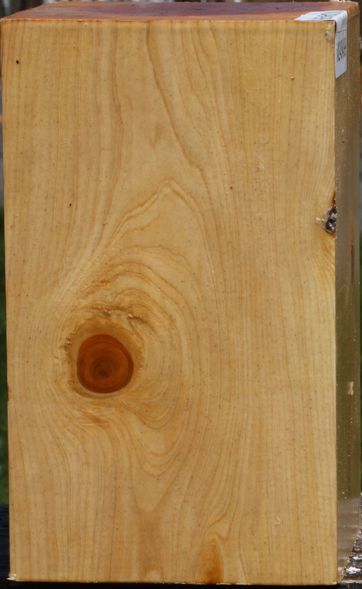 Juniper Vessel Blank