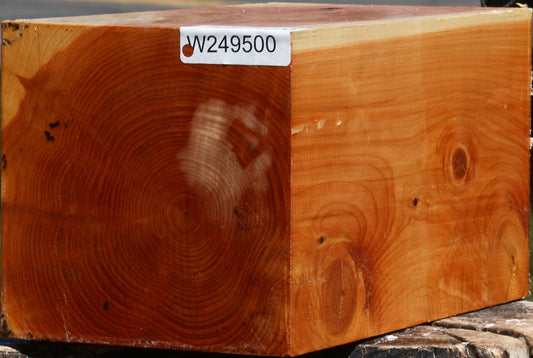 Juniper Vessel Blank
