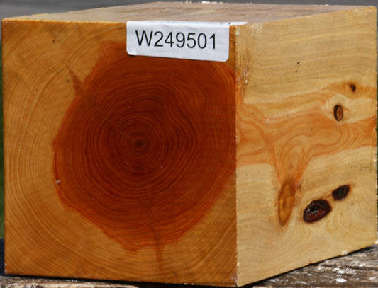 Juniper Turning Square