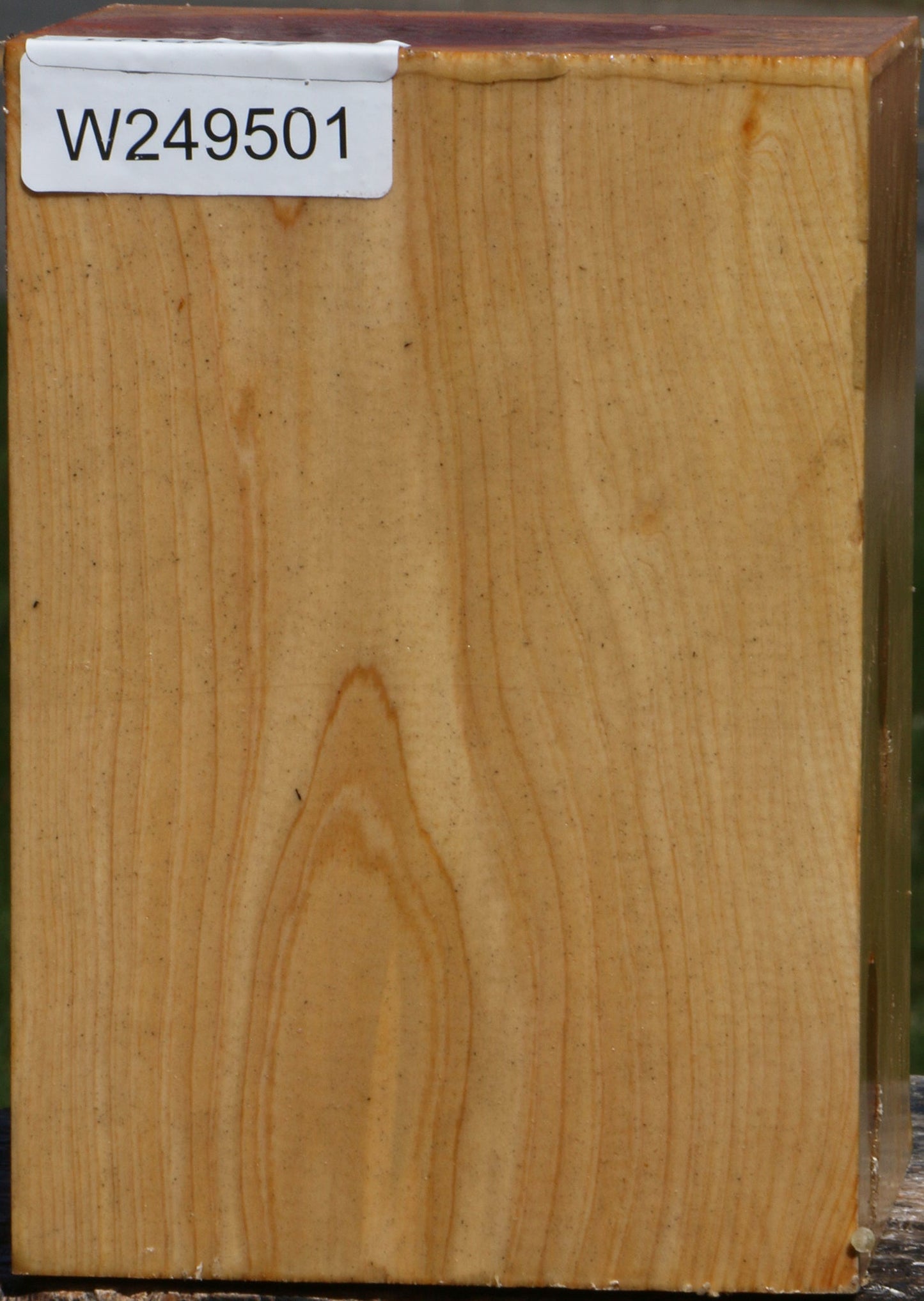 Juniper Turning Square