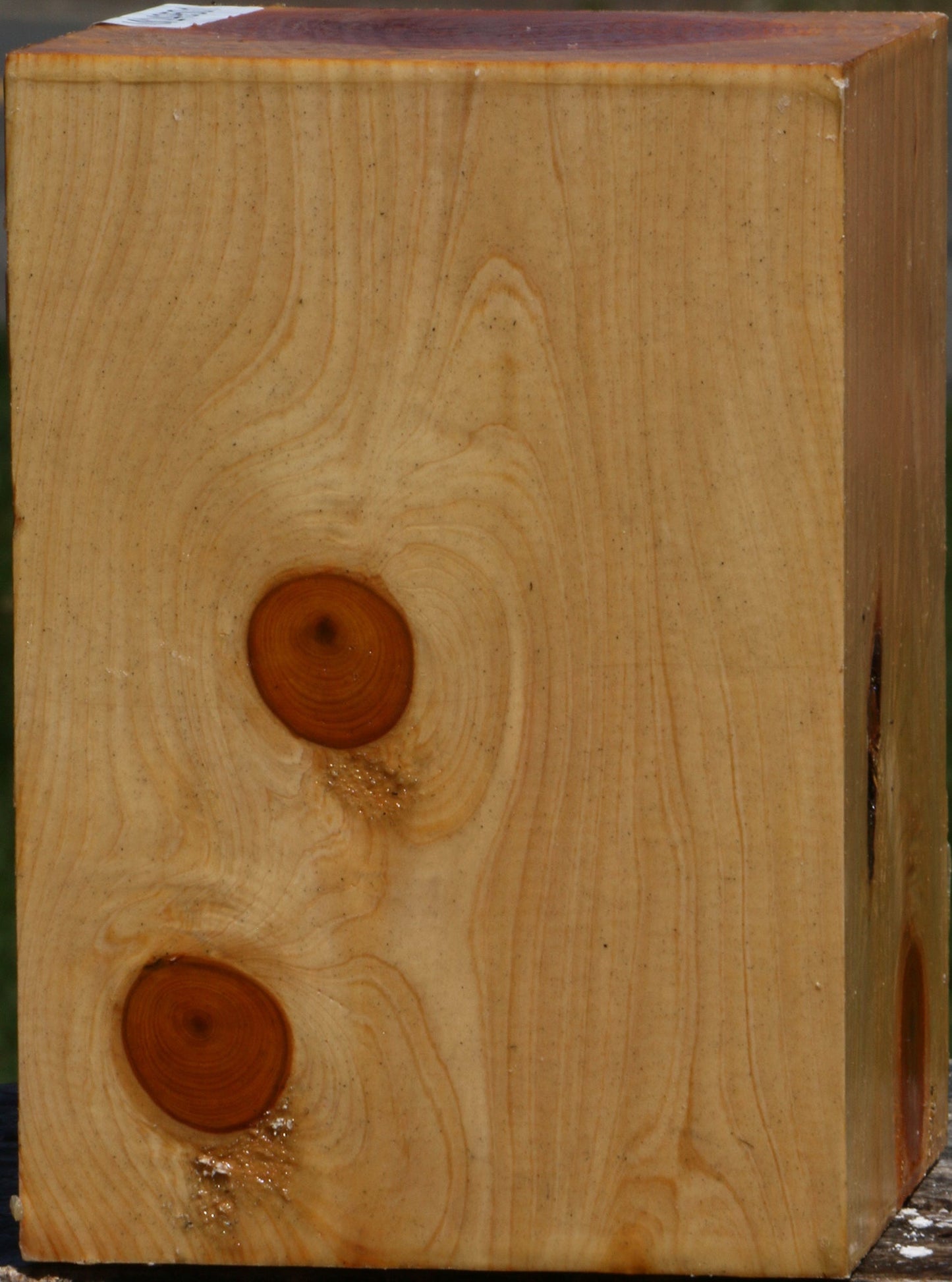 Juniper Turning Square