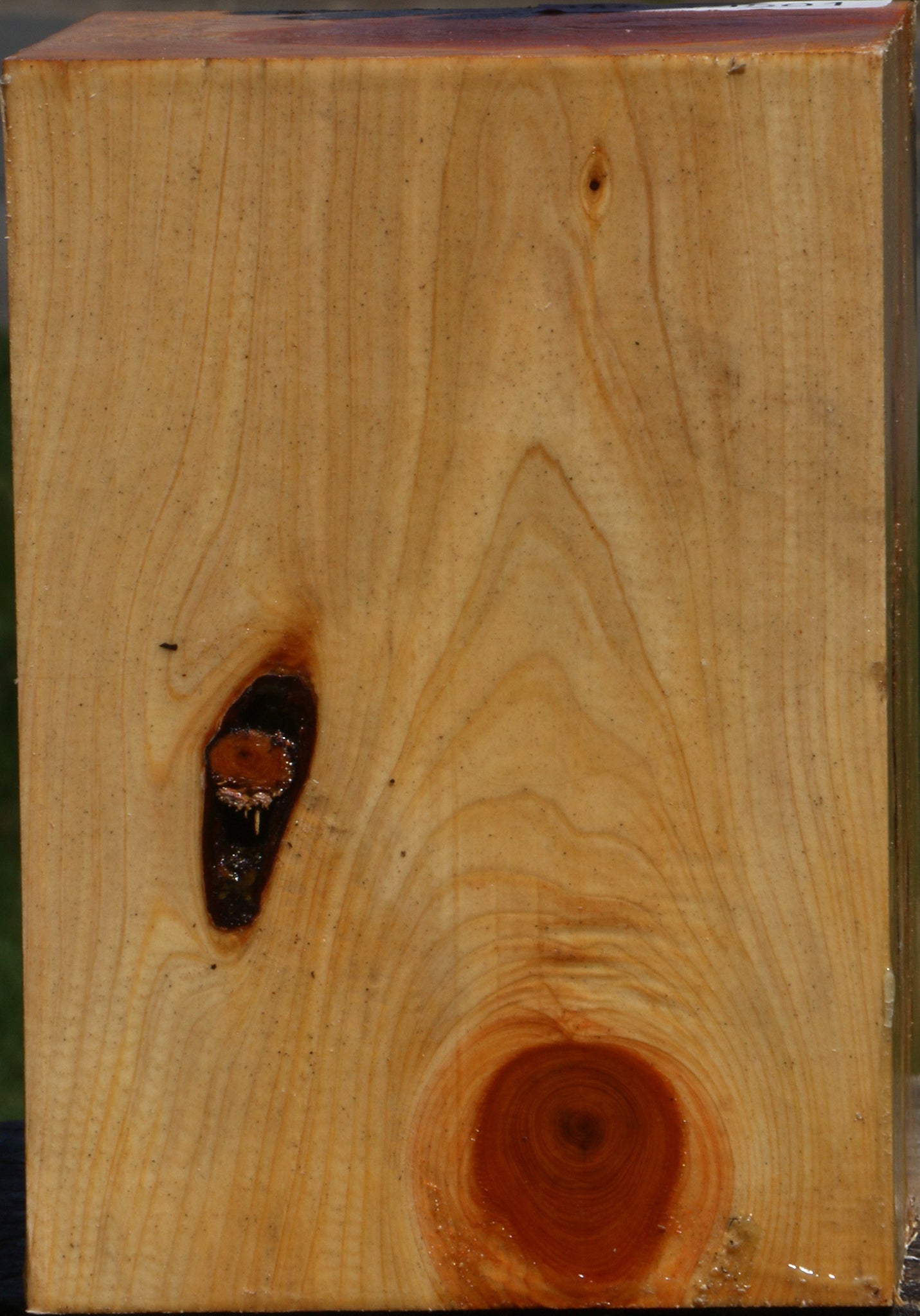 Juniper Turning Square